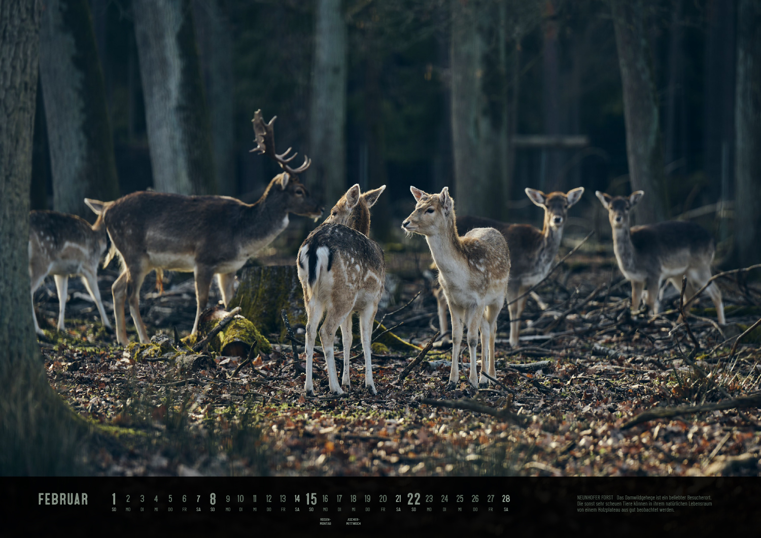 Produktbild Der Reichswald Kalender 2026