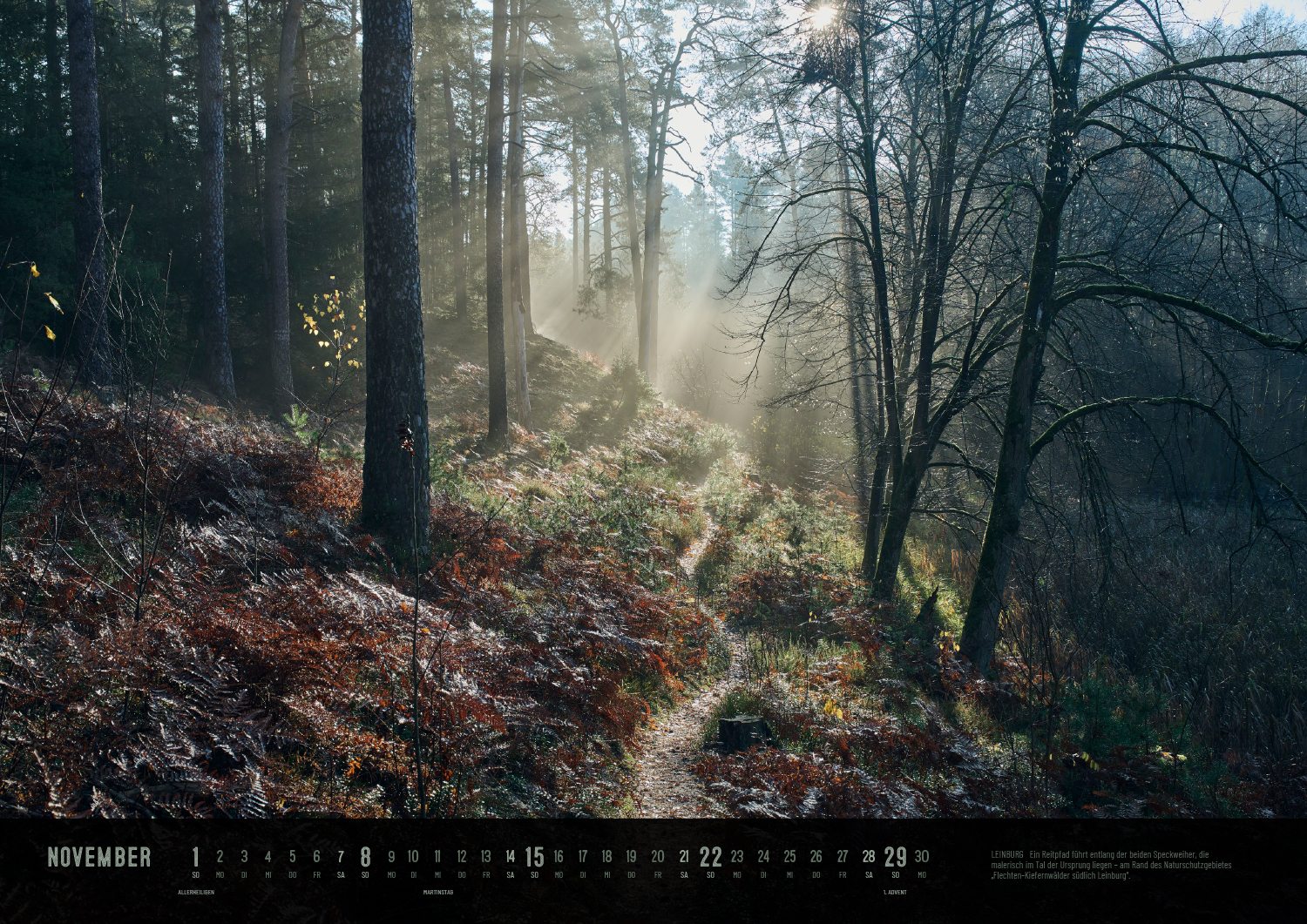 Produktbild Der Reichswald Kalender 2026