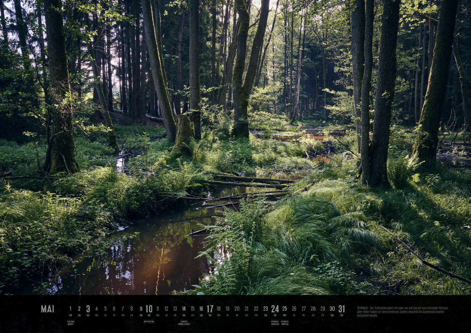 Produktbild Der Reichswald Kalender 2026