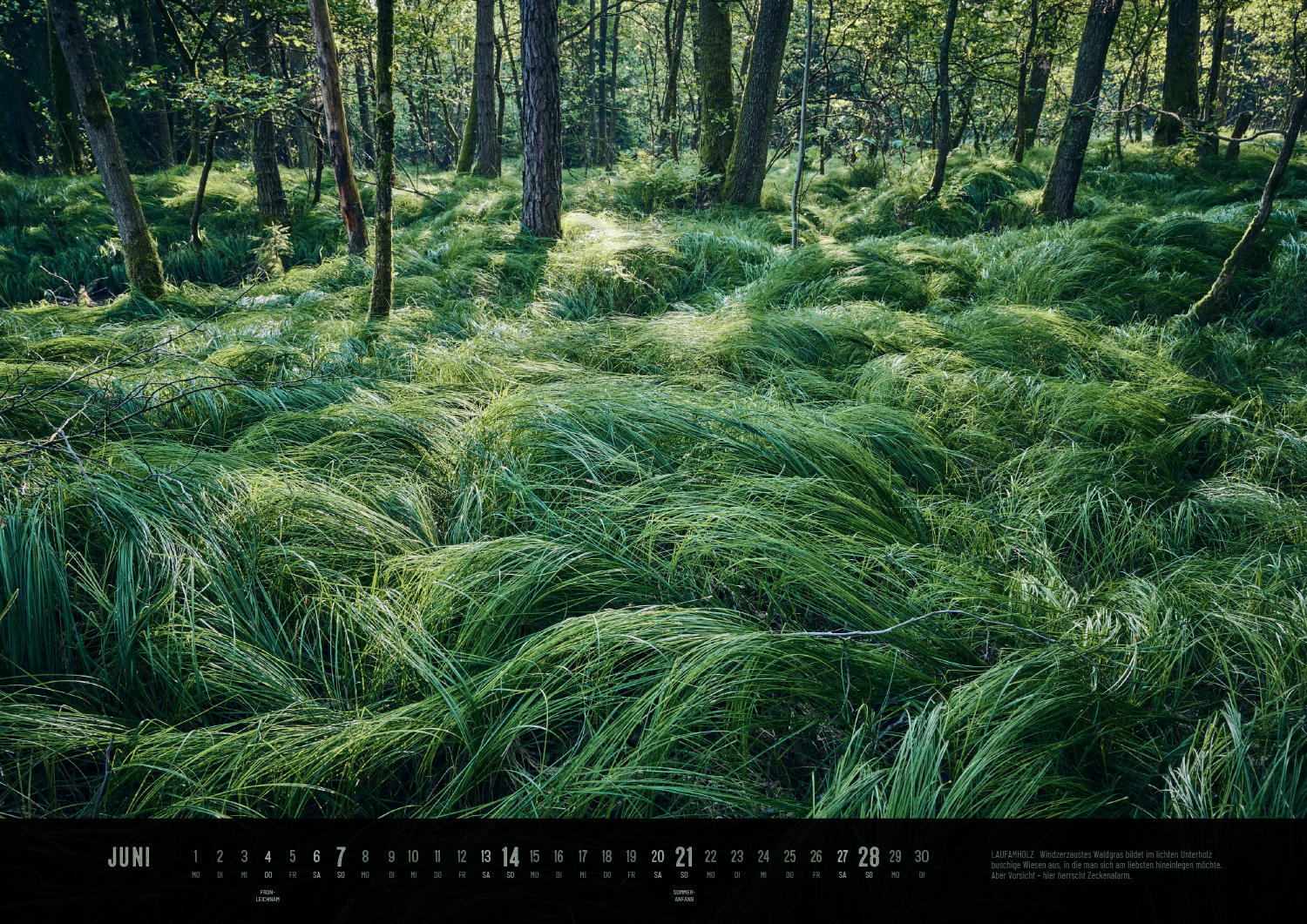 Produktbild Der Reichswald Kalender 2026