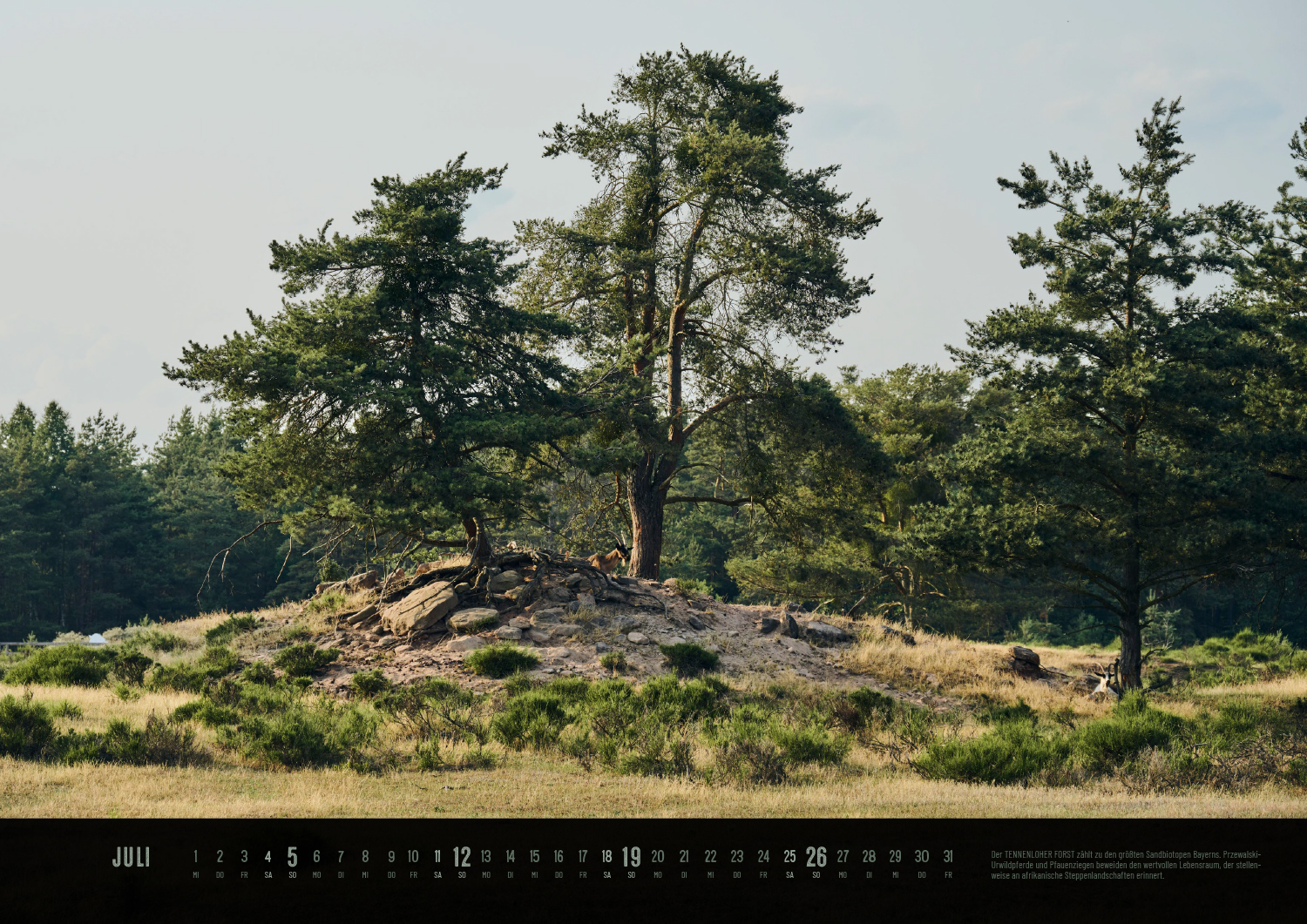 Produktbild Der Reichswald Kalender 2026