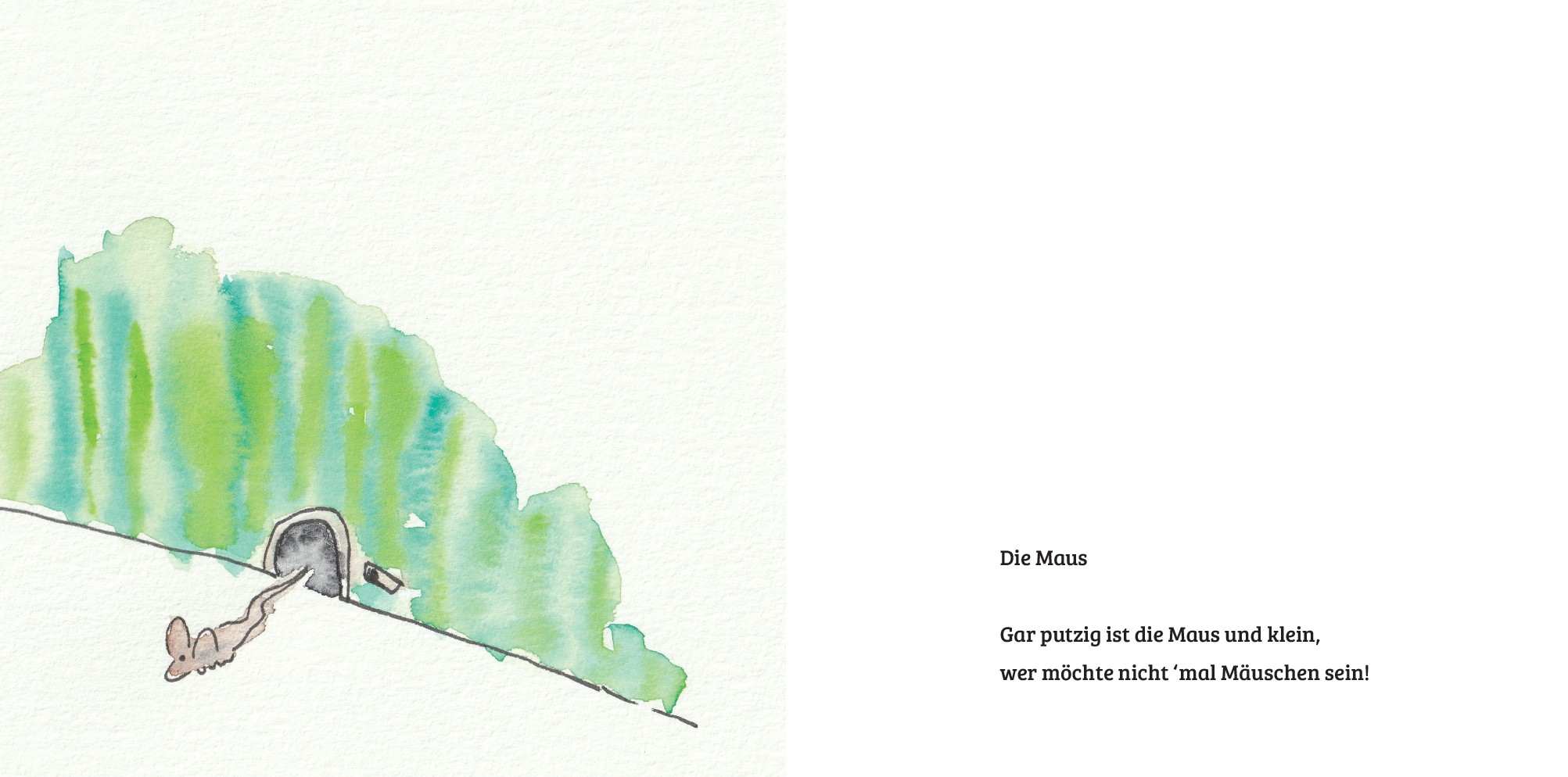 Blick ins Buch: Naturweiseheiten