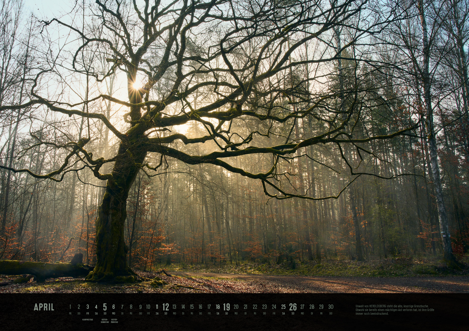 Produktbild Der Reichswald Kalender 2026