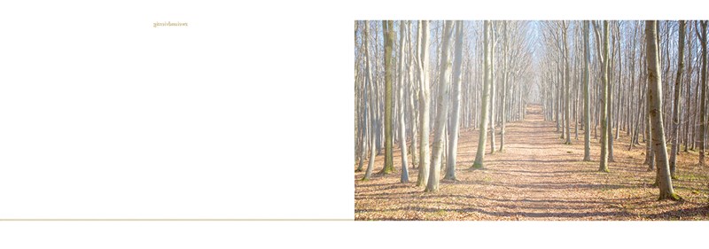 Produktbild: Escape Christmas Adventskalender Produktbild: Escape Christmas Adventskalender